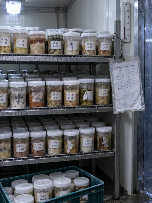 Rückstellprobenregal im Kühlraum mit dicht stehenden Probengefäßen und handbeschrifteten Etiketten