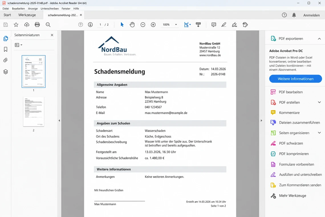 Screenshot-Auftrag zu Stufe 2: das automatisch aus der Einreichung erzeugte PDF im Reader geöffnet