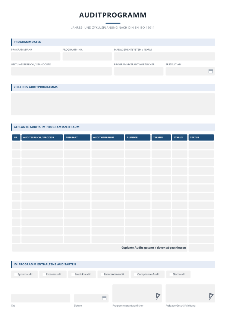 Auditprogramm als Jahresplan