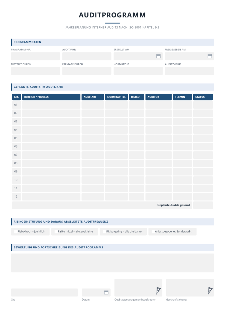 Auditprogramm als Jahresplan