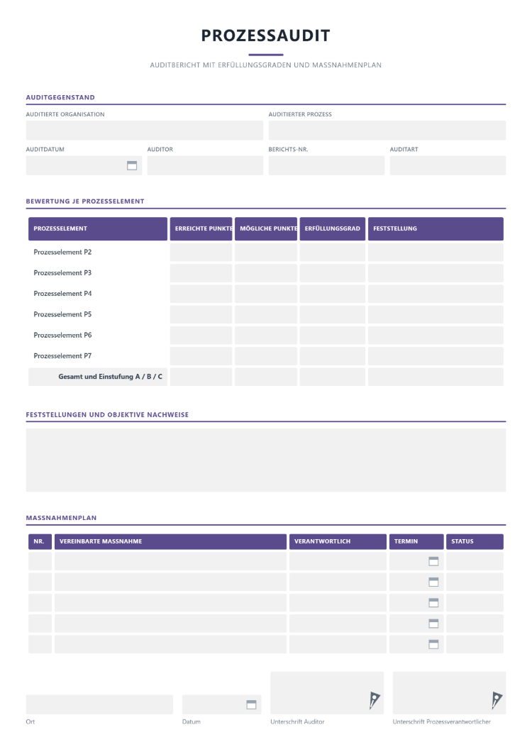 Prozessaudit Bericht