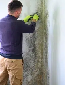 Mit einem Spachtel entfernt der Mann Schimmel und Pilze von der Wand.