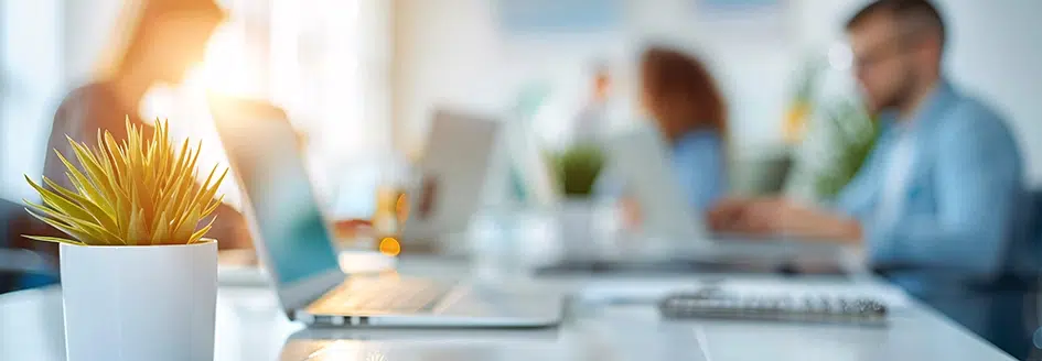 Business-Team, was in einem sauberen, modernen Arbeitsbereich kooperativ und professionell an Laptops arbeitet.