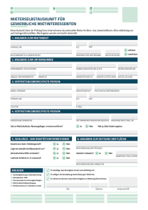 Mieterselbstauskunft